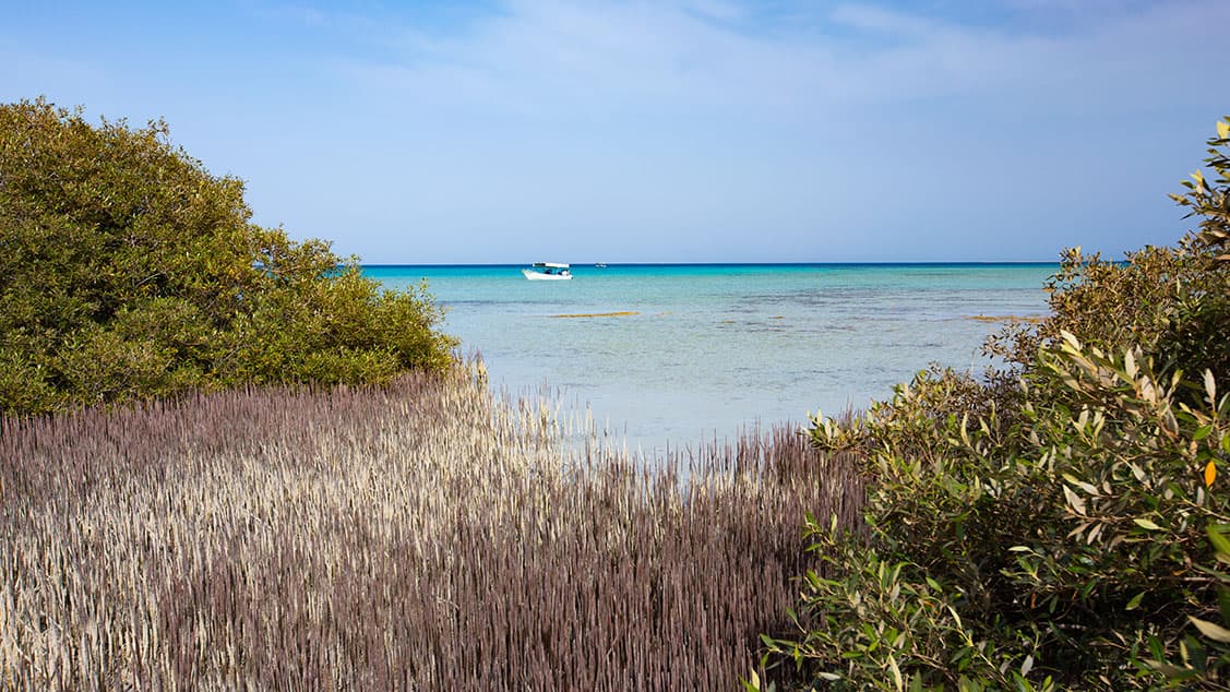Excursión a las islas Farasan en Jazan
