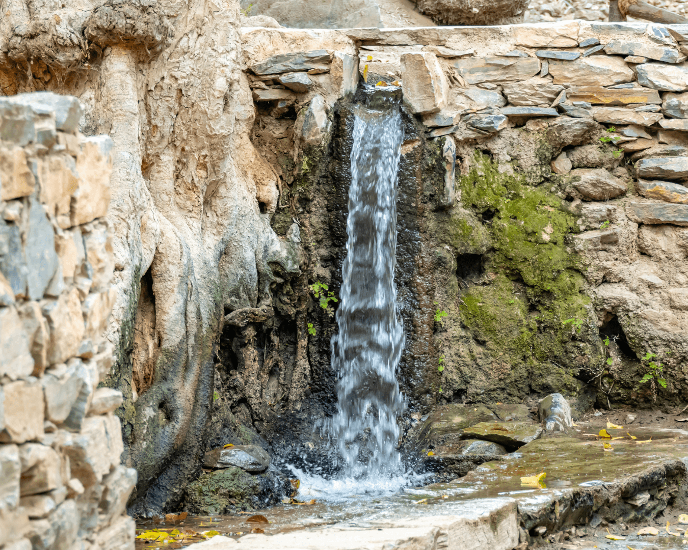 Un viaje al pueblo histórico de Dhi Ain.
