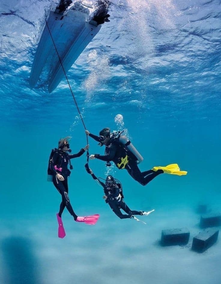 Buceo exploratorio con un instructor profesional y experiencia de fotografía subacuática.