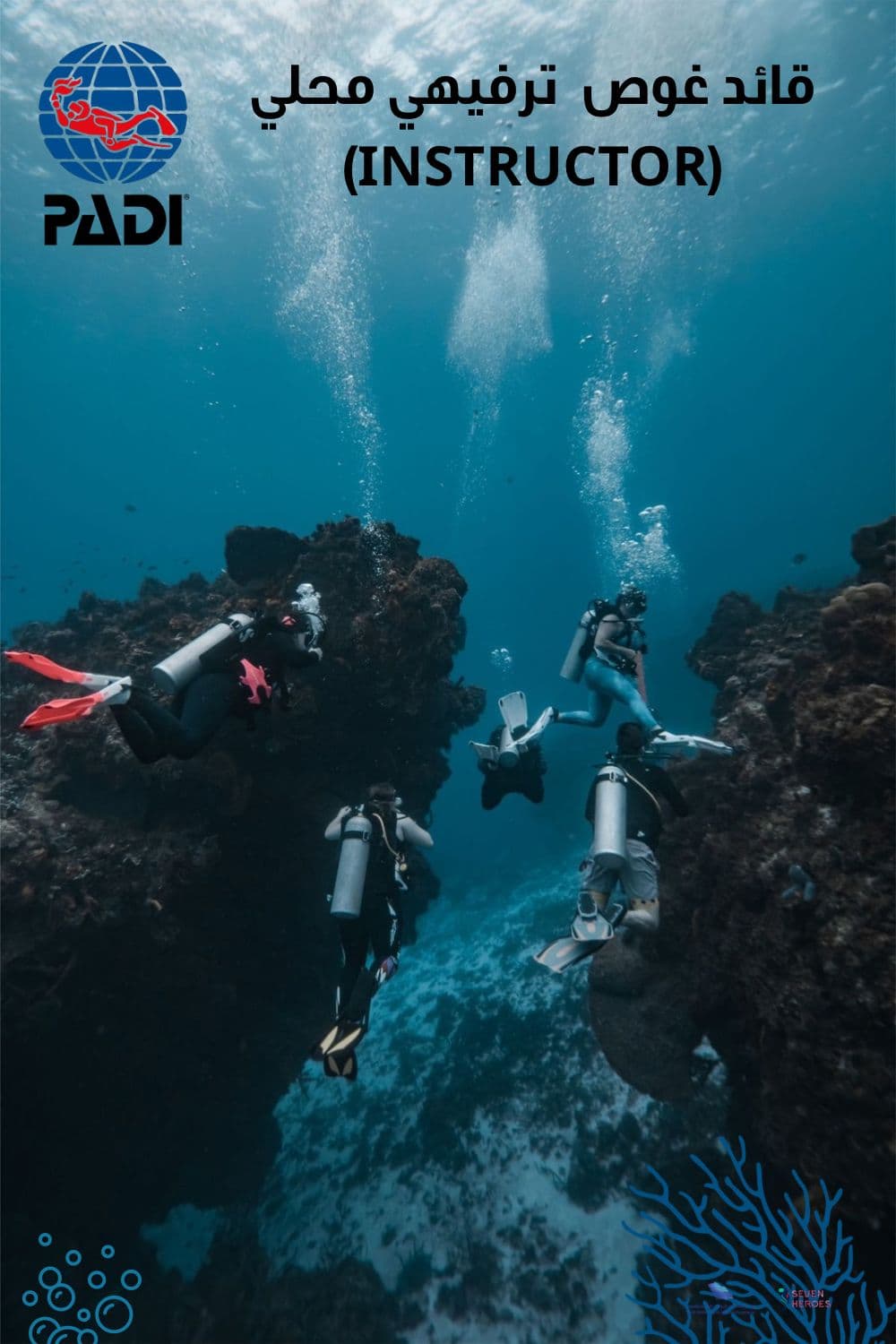Buceo exploratorio con un instructor profesional y experiencia de fotografía subacuática.