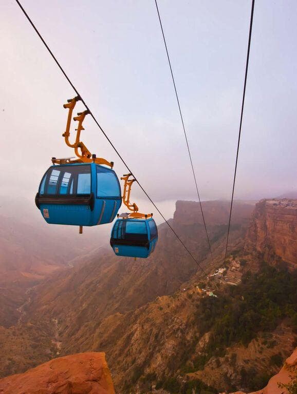 Vive la temporada de jacarandas en Abha: el encantador tour violeta.