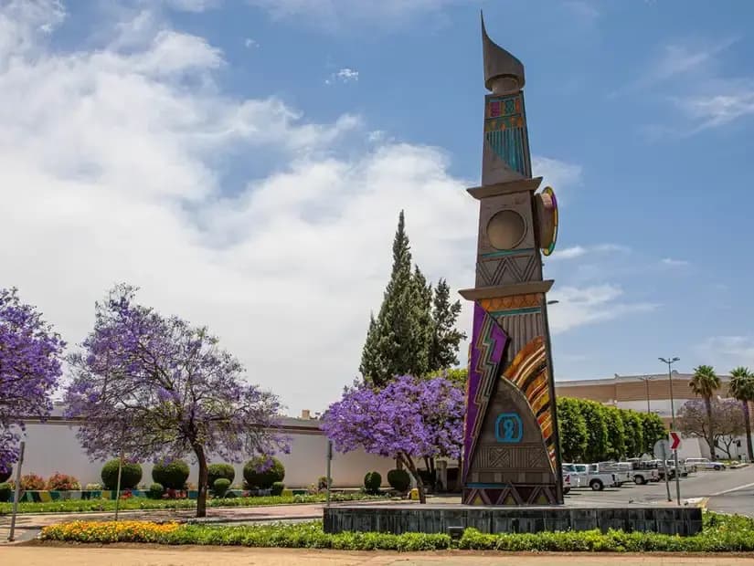 Vive la temporada de jacarandas en Abha: el encantador tour violeta.