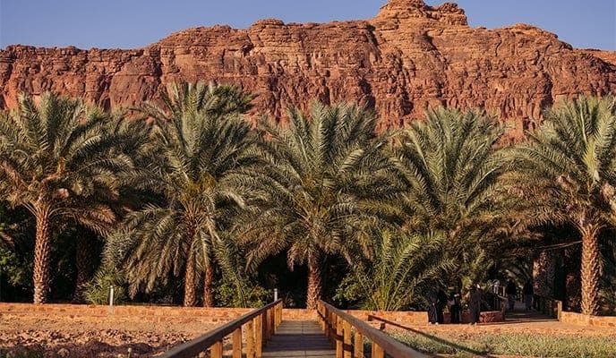 Un recorrido por el sendero del oasis patrimonial en Al-Ula.
