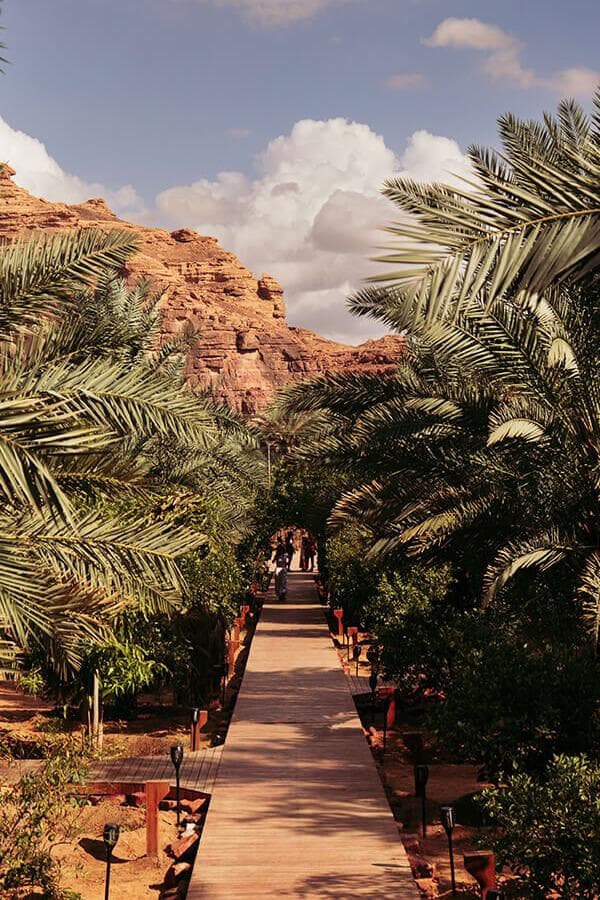 Un recorrido por el sendero del oasis patrimonial en Al-Ula.