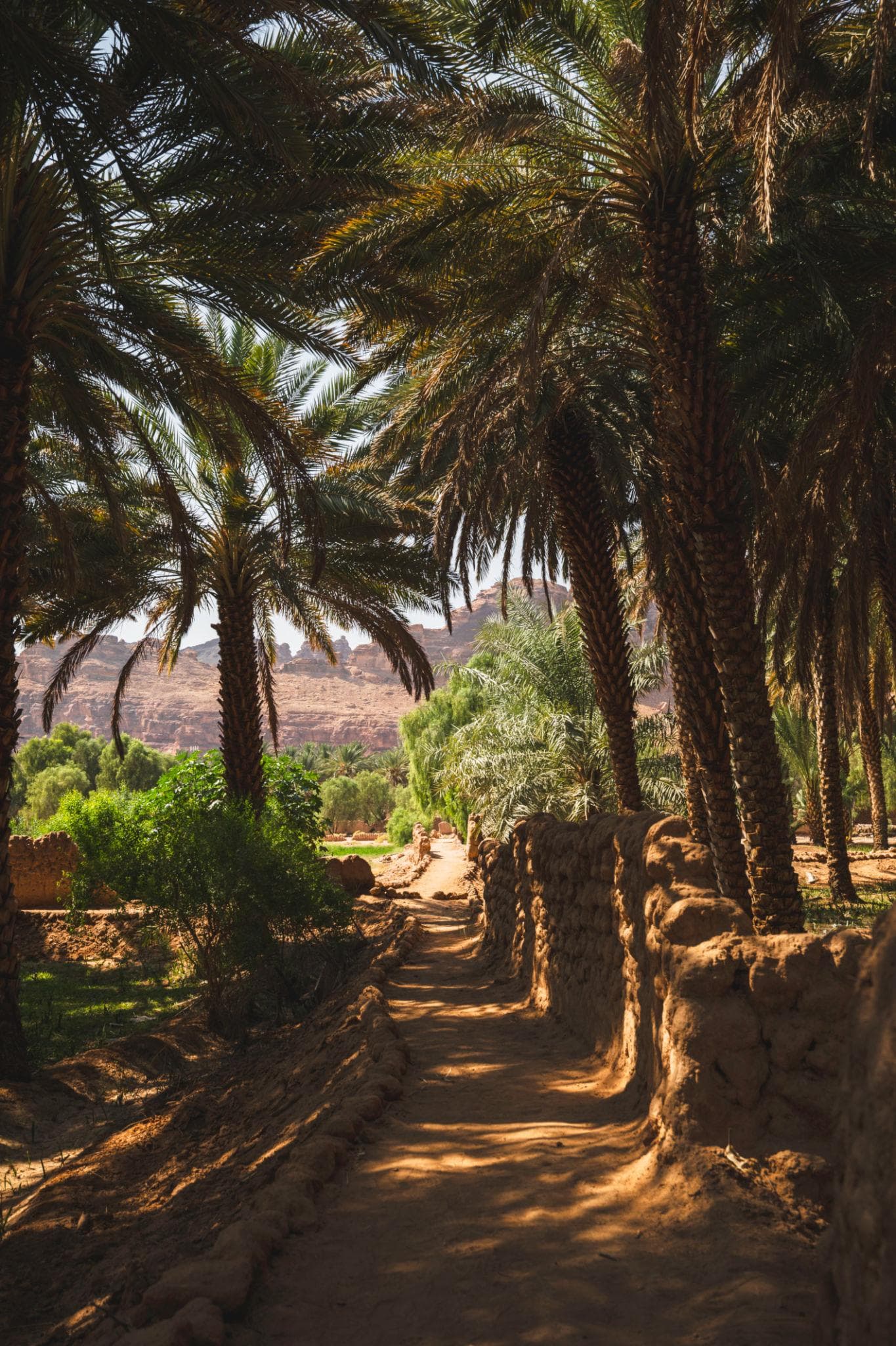 Un recorrido por el sendero del oasis patrimonial en Al-Ula.
