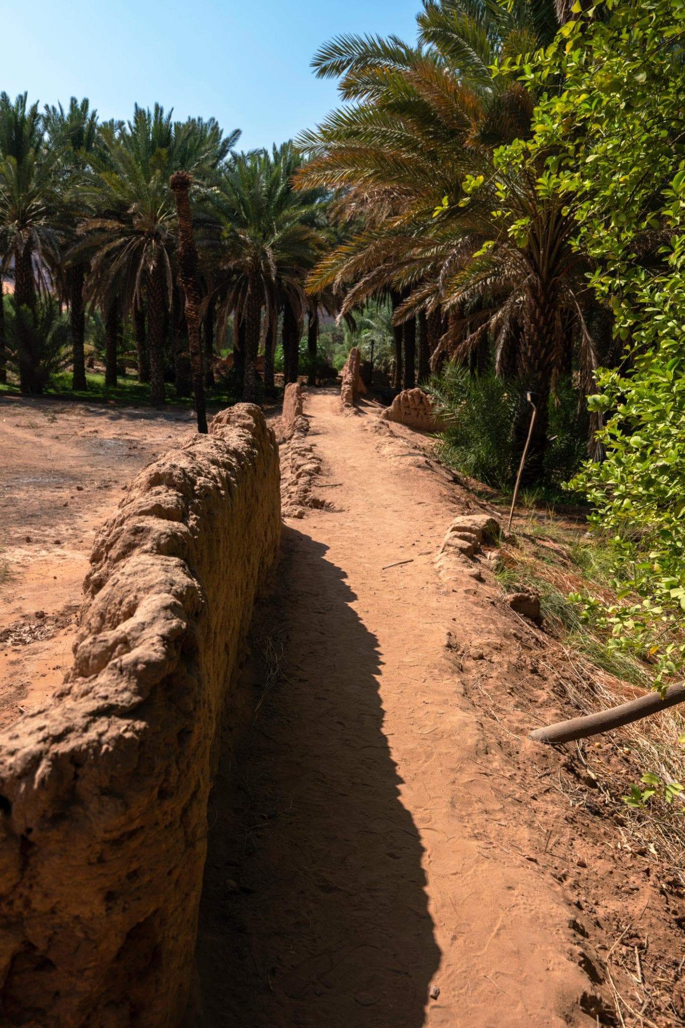 Un recorrido por el sendero del oasis patrimonial en Al-Ula.