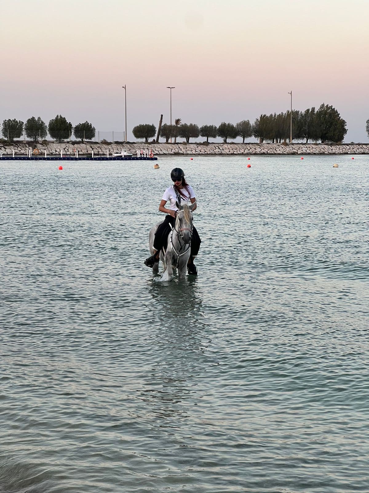 Paseos a caballo en Al-Khobar