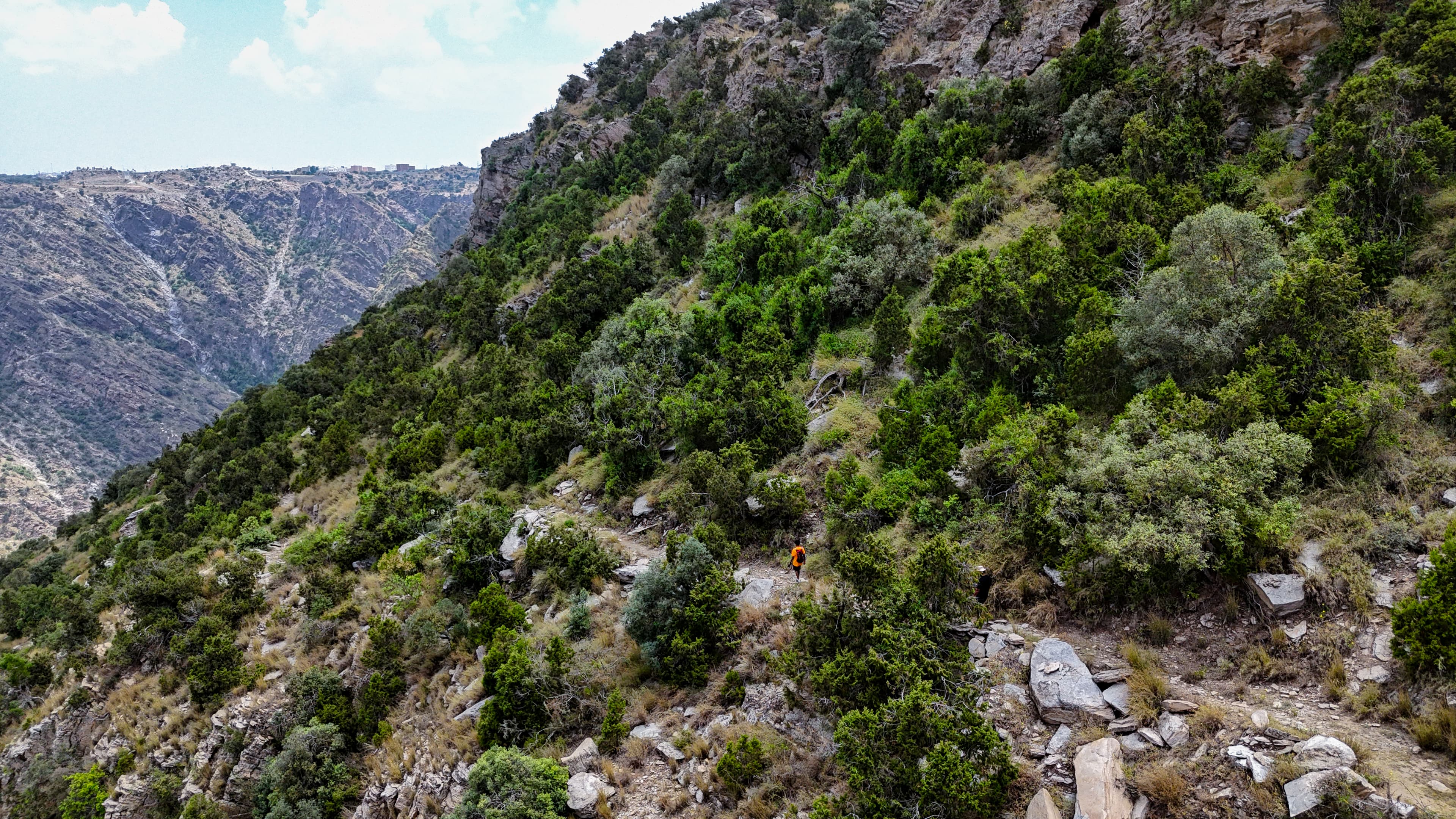 Sendero Mountain Edge | Tanomah