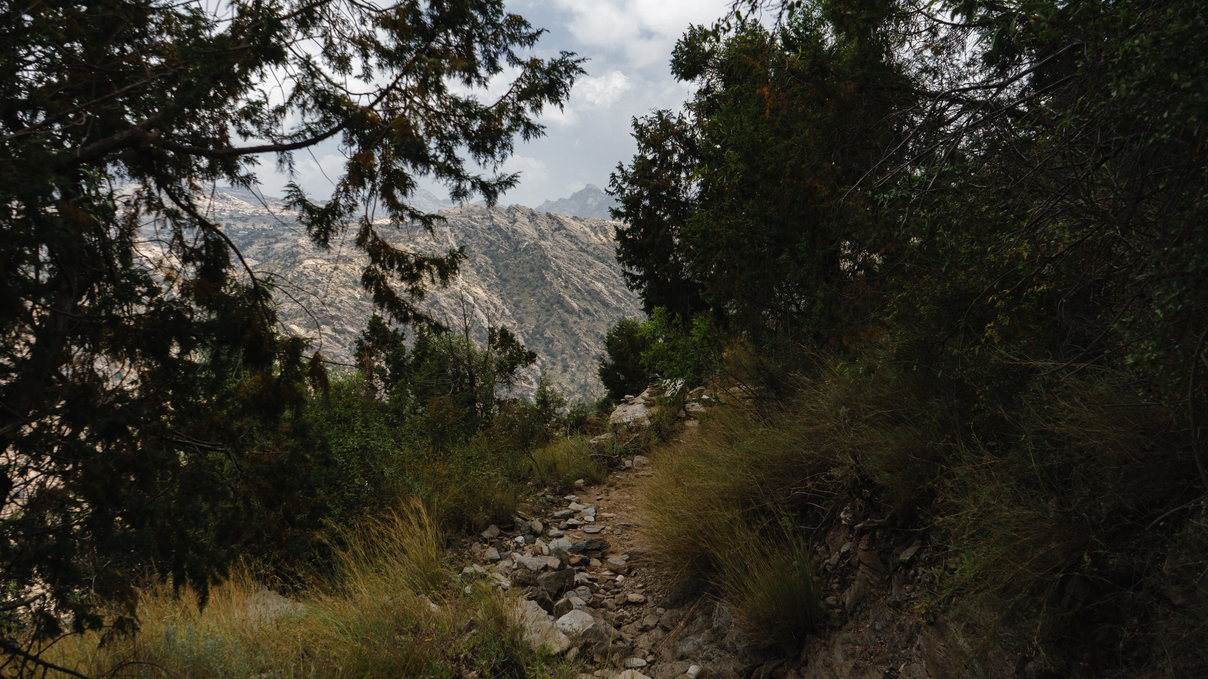 Sendero Mountain Edge | Tanomah