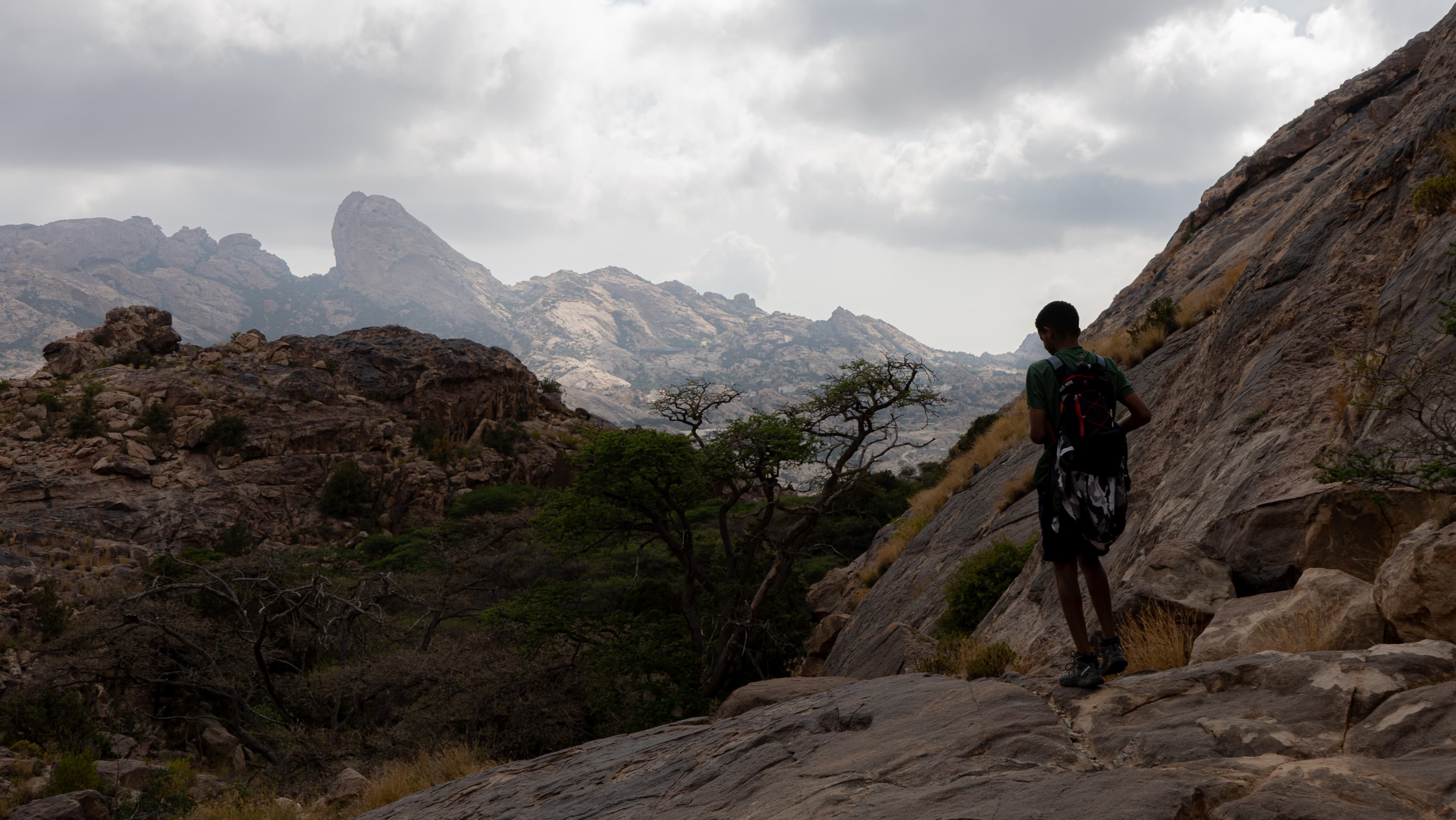 Sendero de Jurassic Park | Tanomah
