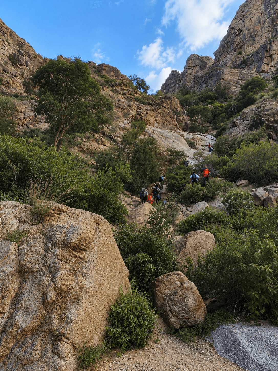 Senderismo en Wadi Noman