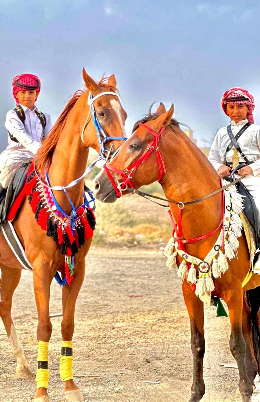 Categoría de equitación: experiencia individual