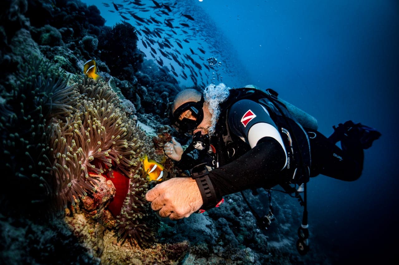 Buceo exploratorio con un instructor profesional y experiencia de fotografía subacuática.