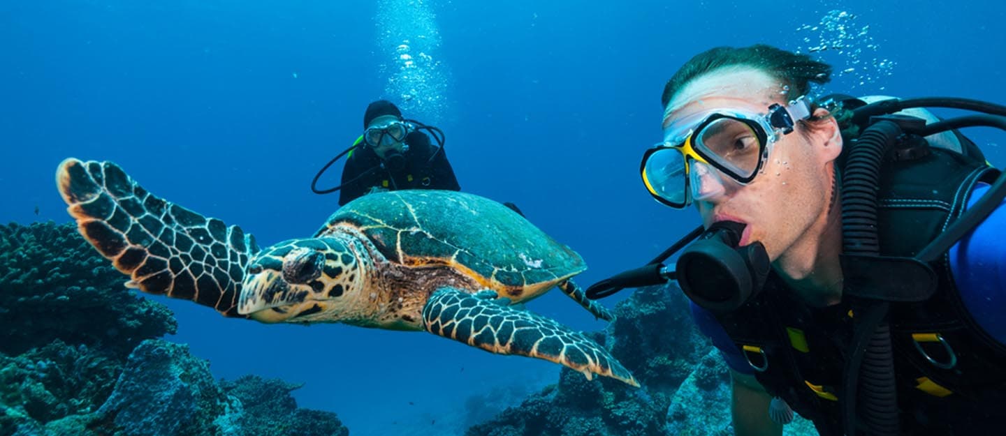 Experiencia de buceo en Al-Khobar