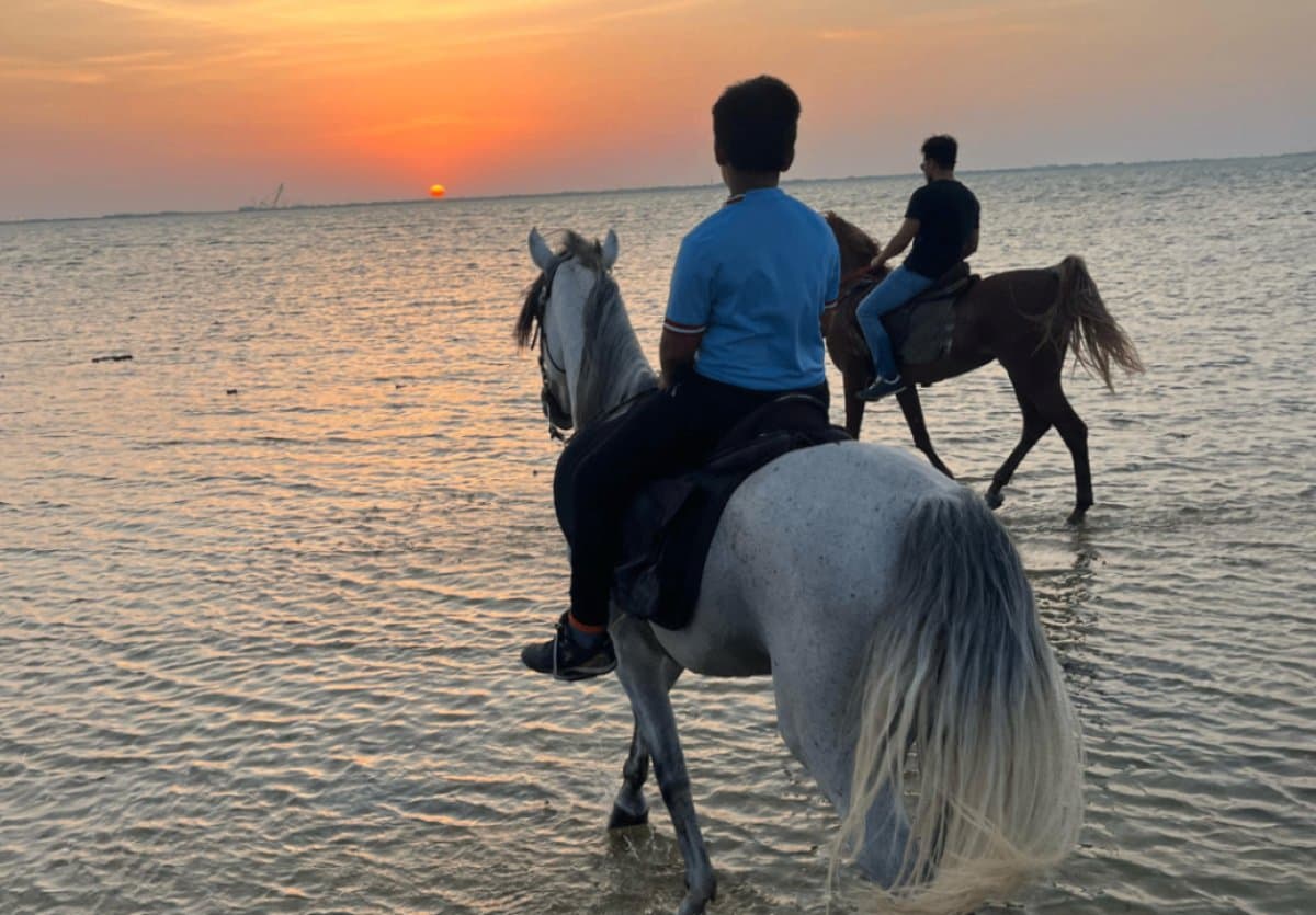 Paseos a caballo en Al-Khobar