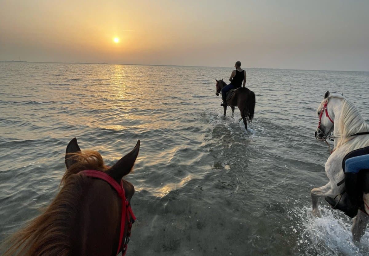Paseos a caballo en Al-Khobar