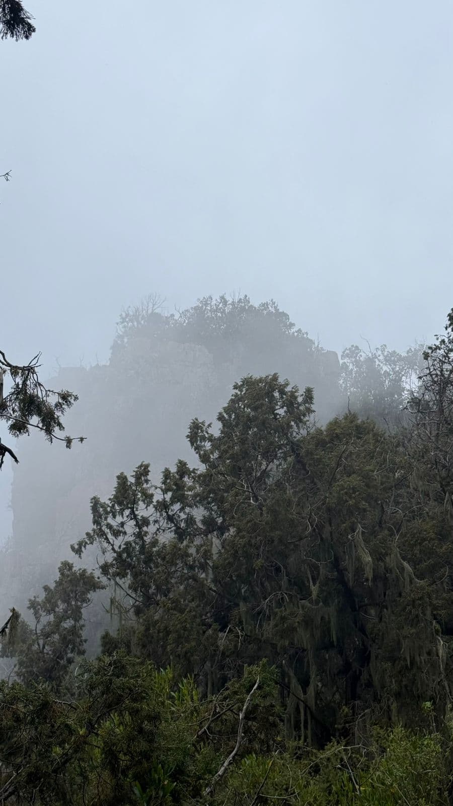 Senderismo y relax en la montaña en Al-Soudah, el corazón de la belleza natural de Asir 🏔️